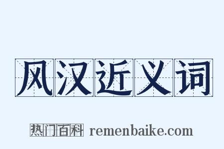 风汉近义词是什么意思的图片